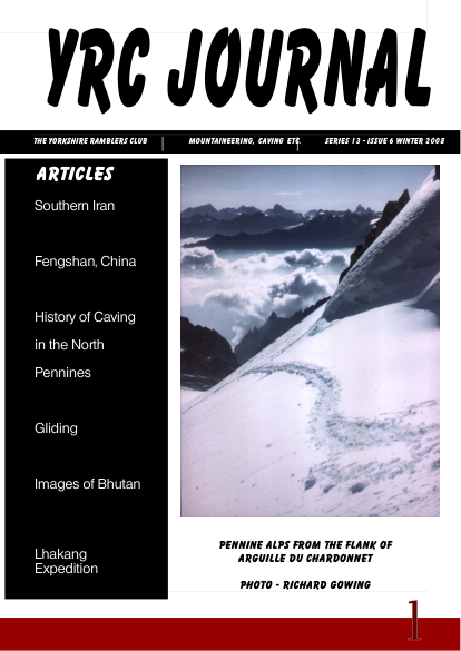 YRCJ 2008; 13(6) cover